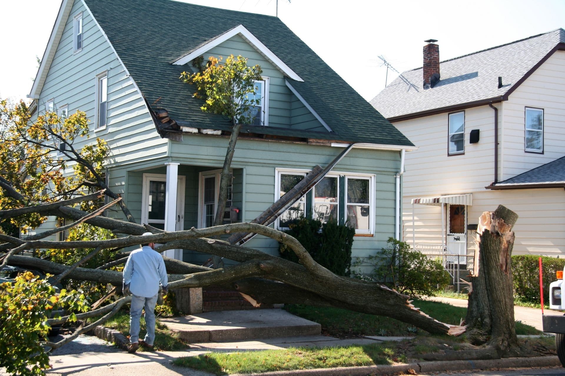 A downed tree that has damaged the roof, gutters, and siding of a house.